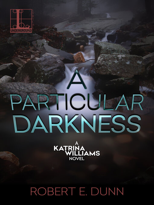 Cover image for A Particular Darkness